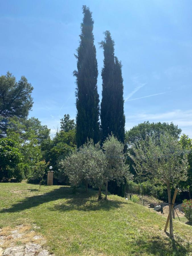 Les Oliviers Vaugines Exterior foto